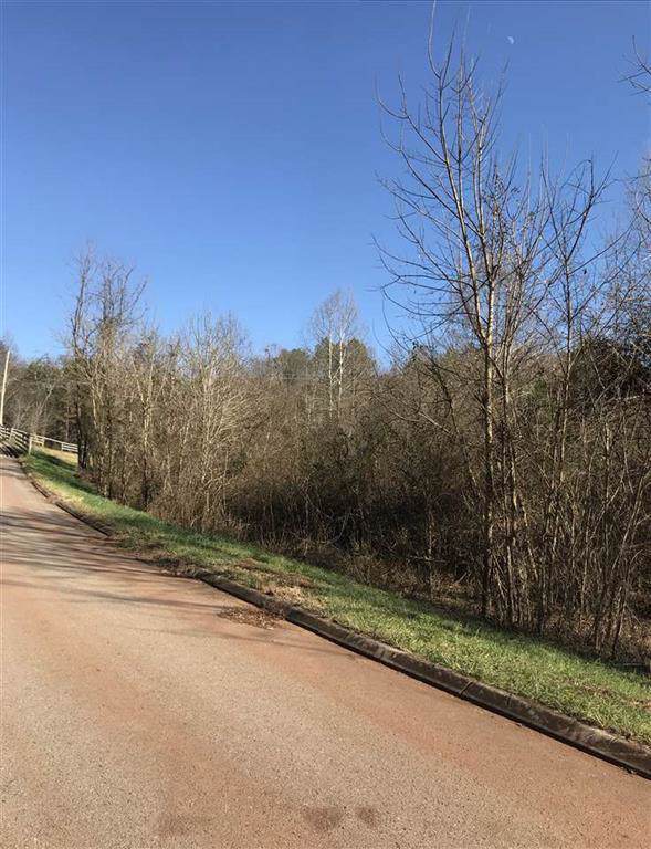 12.74 Acre Doe Run - Photo 1