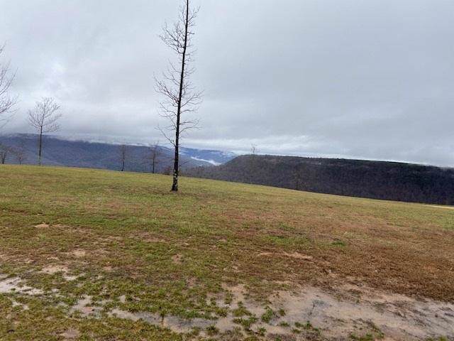 145 Gobbler Pass - Photo 1