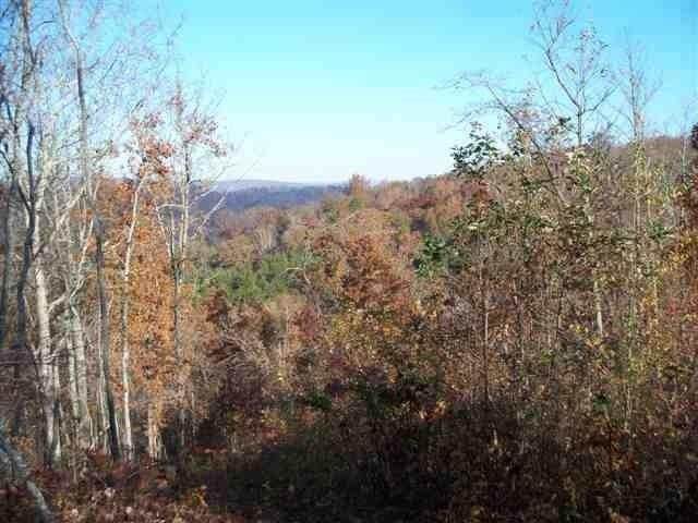 60 Acres Euchee Chapel Rd - Photo 1