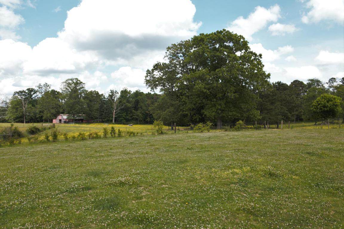 114 Shelton Rd - Photo 1