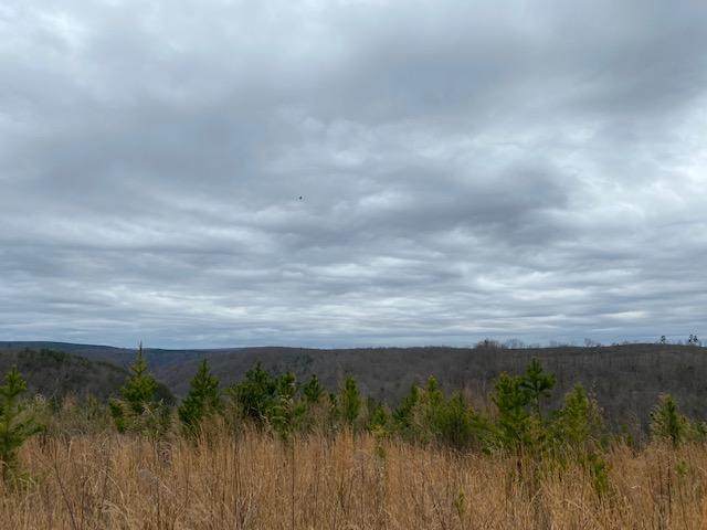 705 Pryor Ridge Road - Photo 1