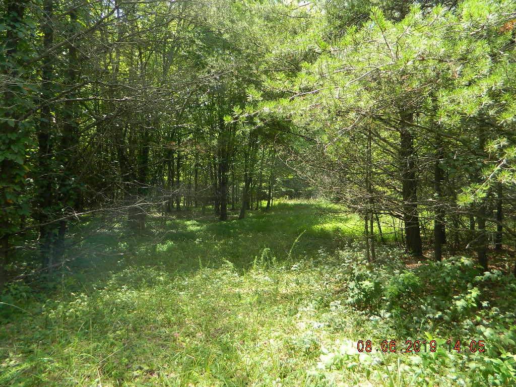 0000 Highway 157 - Photo 1