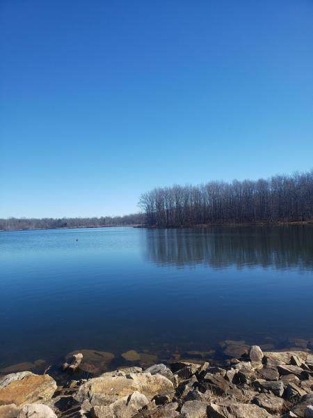183 Long Branch Rd - Photo 1
