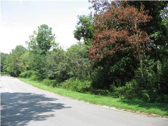 0 Douglas Dr - Photo 1