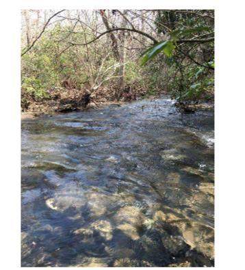 190 Windy Gap Rd - Photo 1