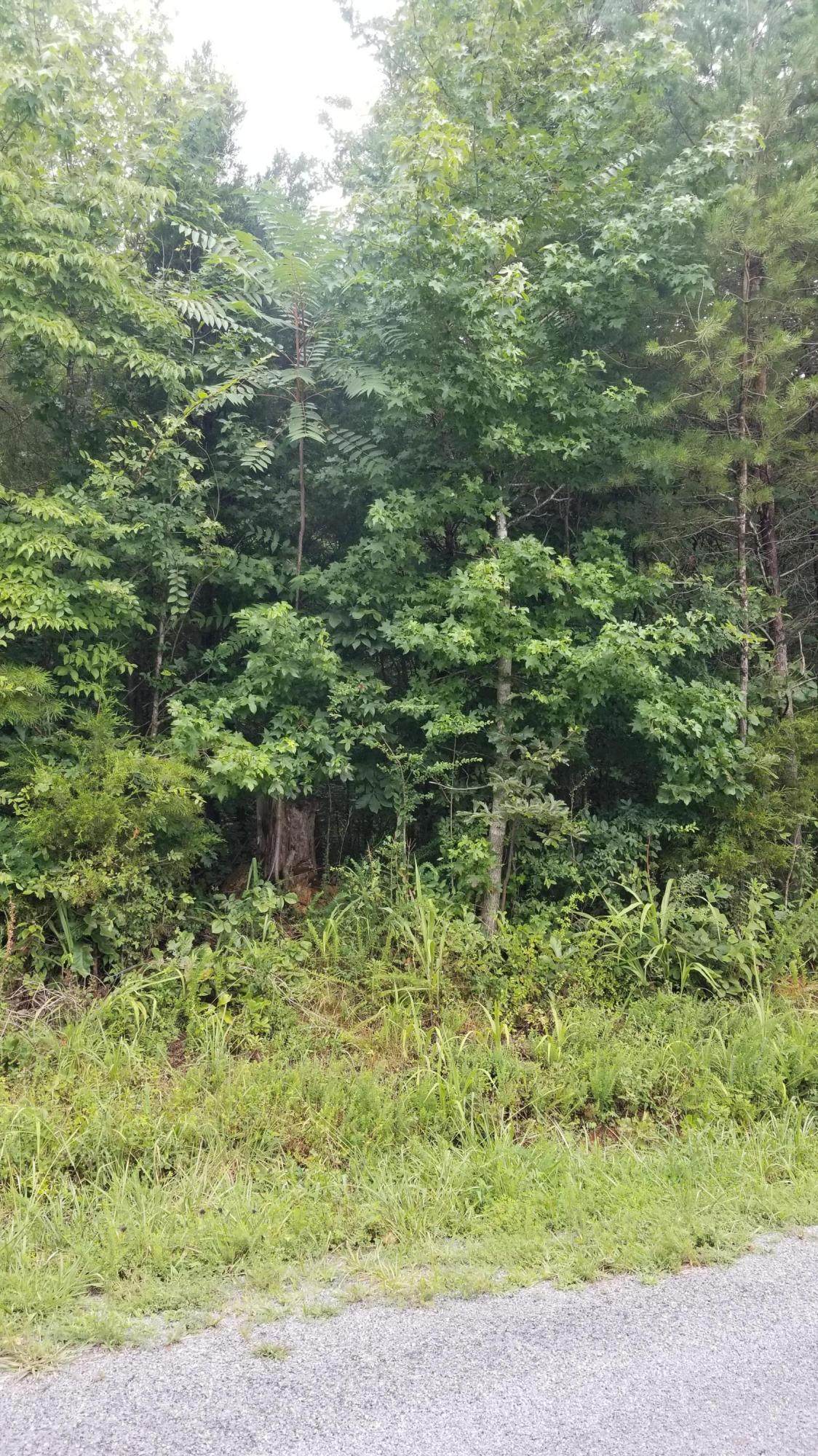 10.18 Acre Stump Hollow Rd - Photo 1
