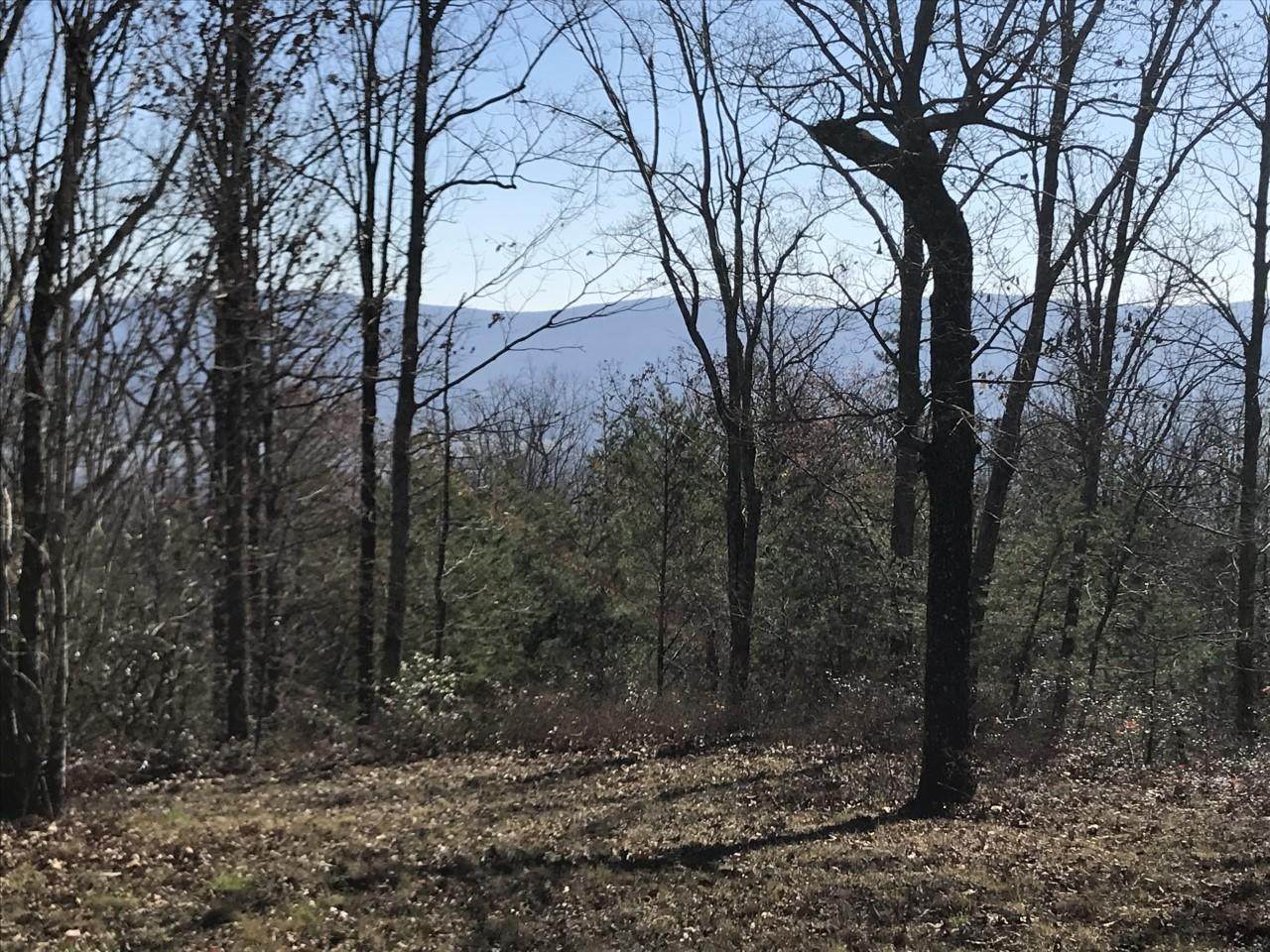 0 Bluff View Dr - Photo 1