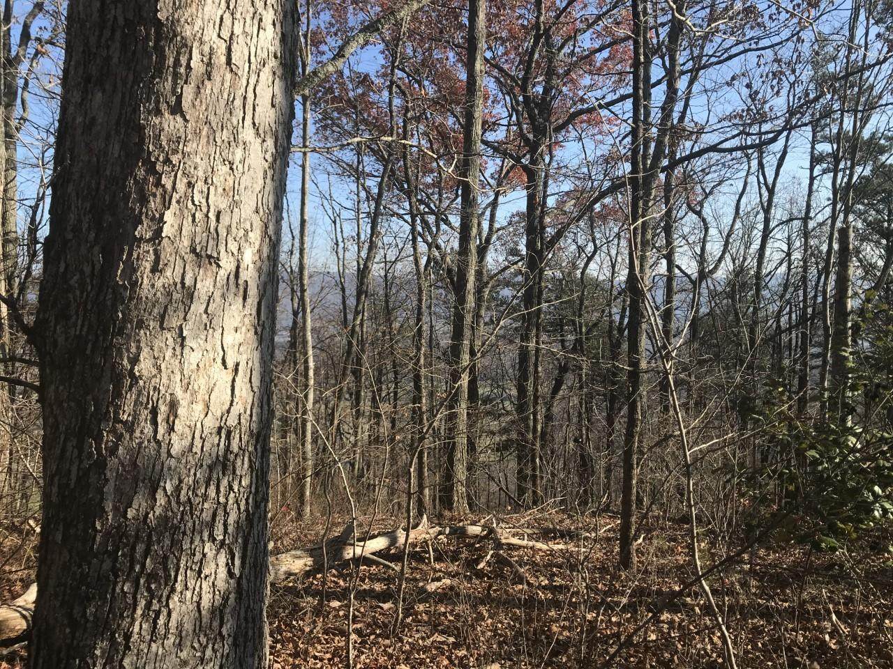 0 Bluff View Dr - Photo 1