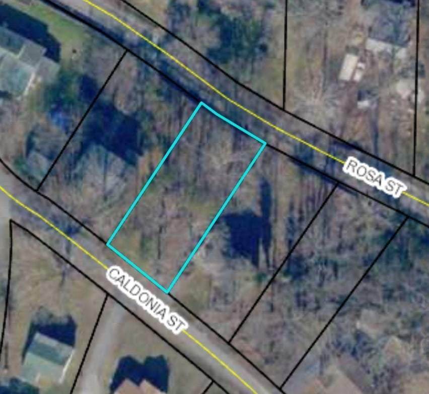 0 Caldonia Lot 19 St - Photo 1
