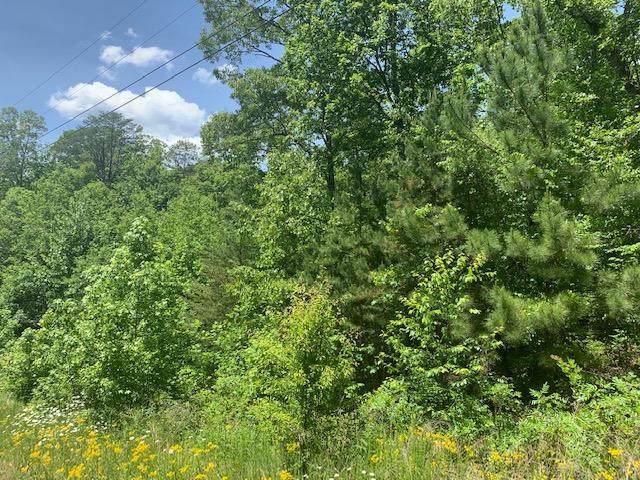 Lot 21 Highland Cir - Photo 1