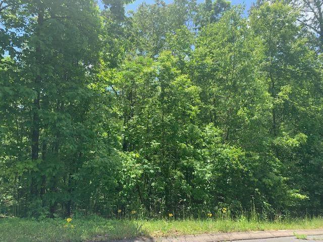 Lot 28 Highland Cir - Photo 1