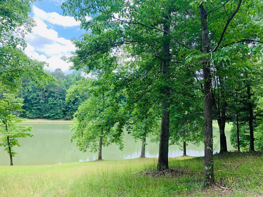 Lot 2 Hidden Lake Rd - Photo 1