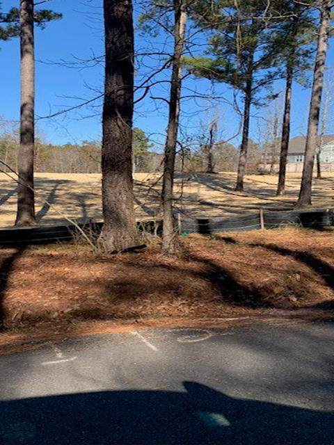 Lot 2 Johnston Rd - Photo 1