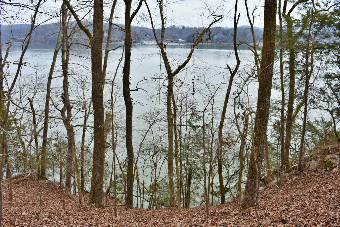 Lot 22 Loch Haven Dr - Photo 1