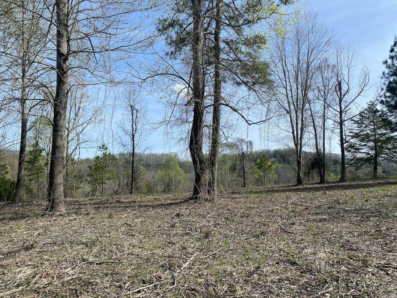Tbd Dawn Dr - Photo 1