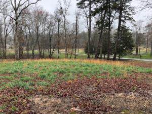 0 Russell Ln - Photo 1
