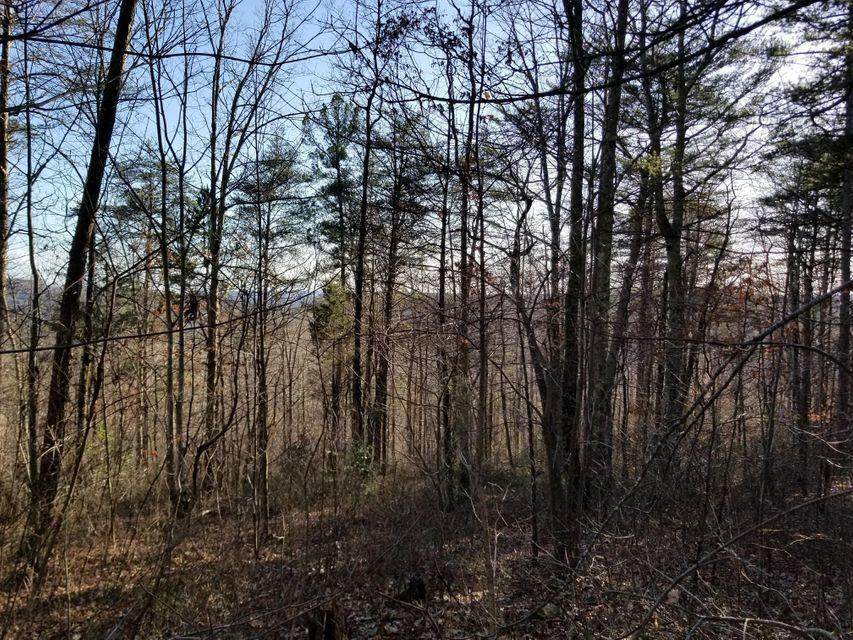 200 Palmer Firetower Road - Photo 1
