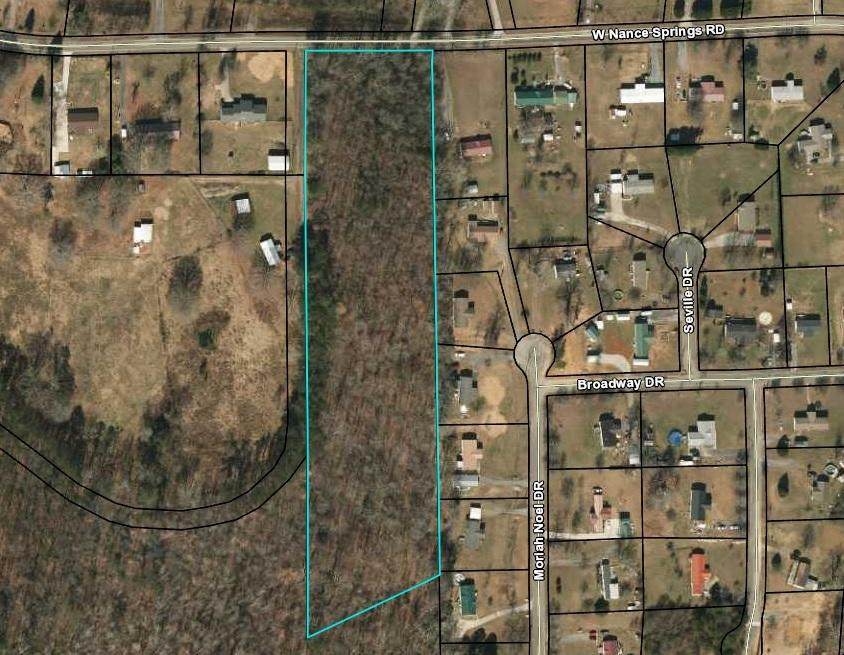 0 Nance Springs Rd - Photo 1
