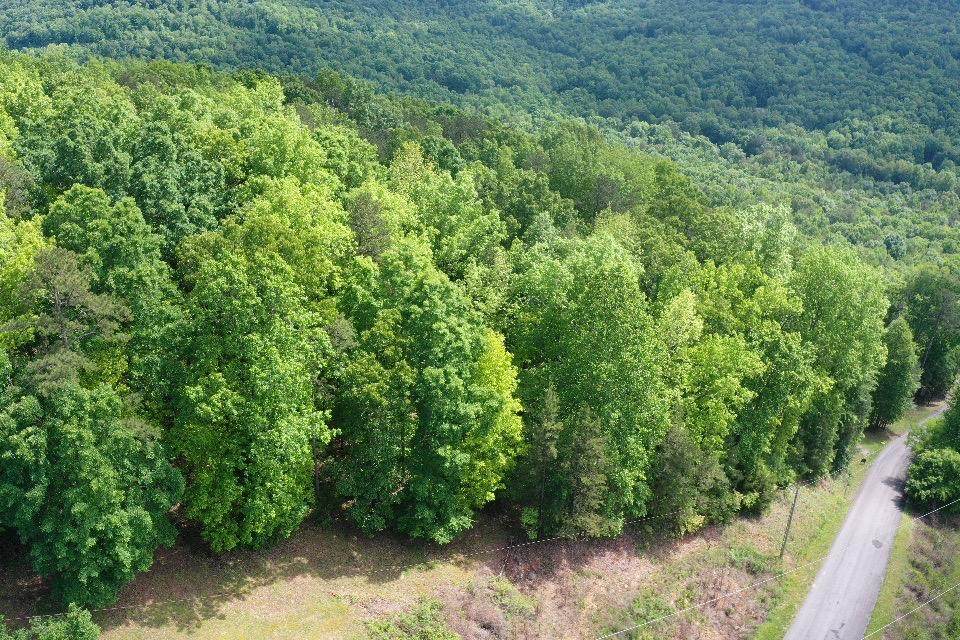 0 Bluffs Rd S, Lots 36, 37, 38 - Photo 1