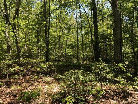 326 Mountain Place Rd - Photo 1
