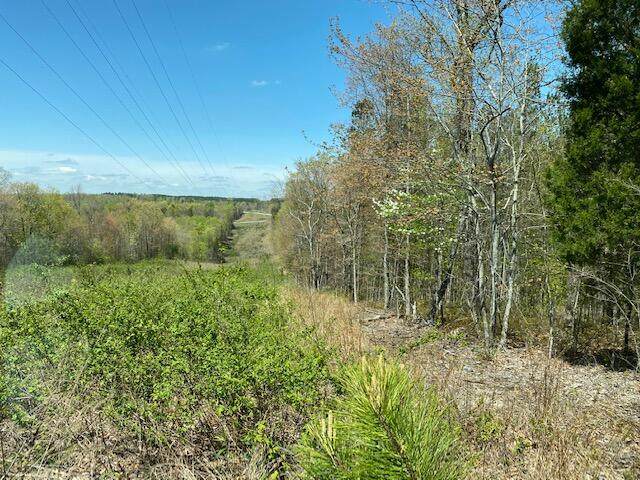 10.20 South Pittsburg Mtn Road - Photo 1