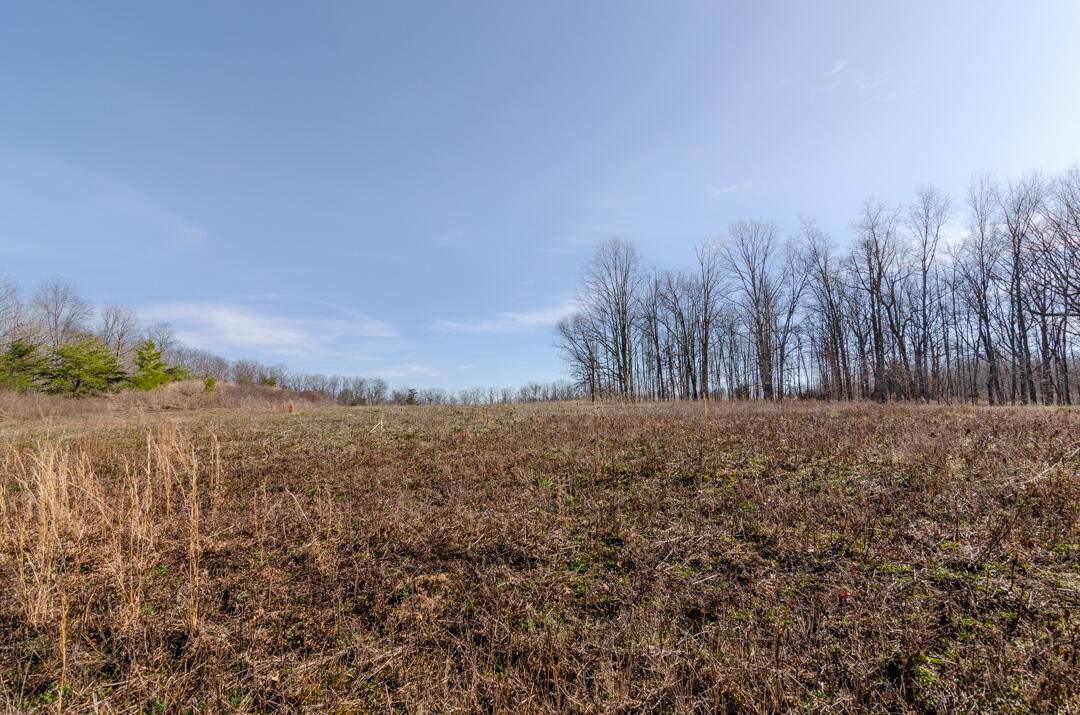 0 Timber Ridge Rd - Photo 1