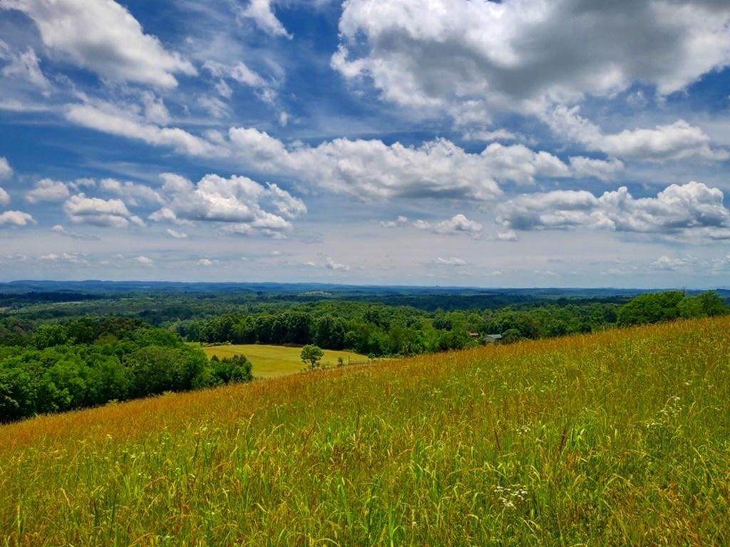 0 Black Oak Rd - Photo 1