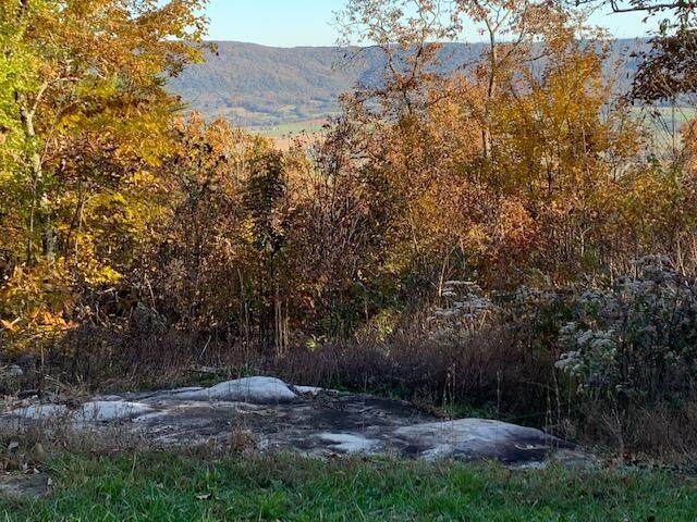 https://bt-photos.global.ssl.fastly.net/chattanooga/orig_boomver_1_1337441-2.jpg