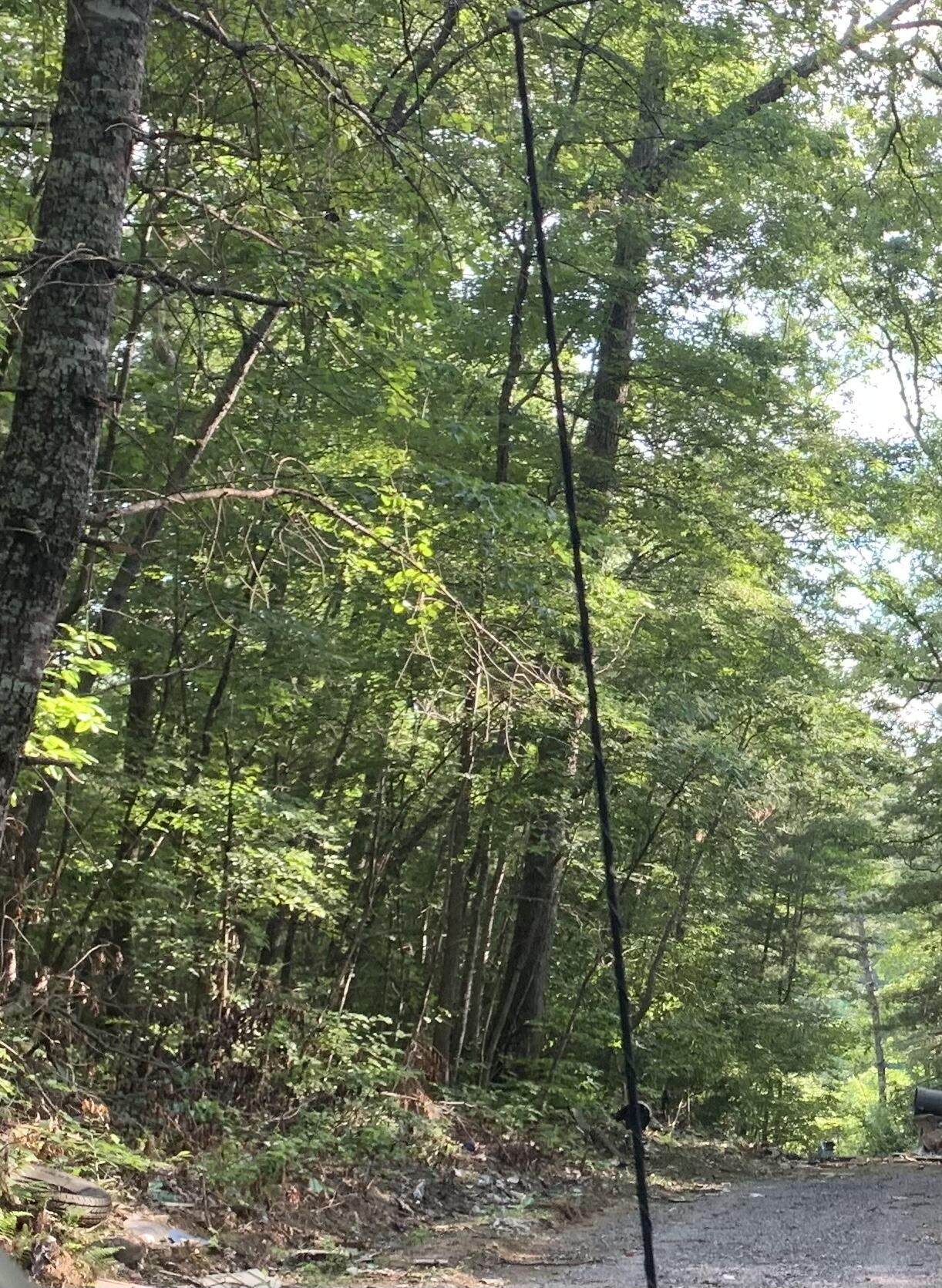 0 Rocky Pt - Photo 1