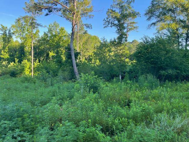 0 Dogwood Valley Rd - Photo 1