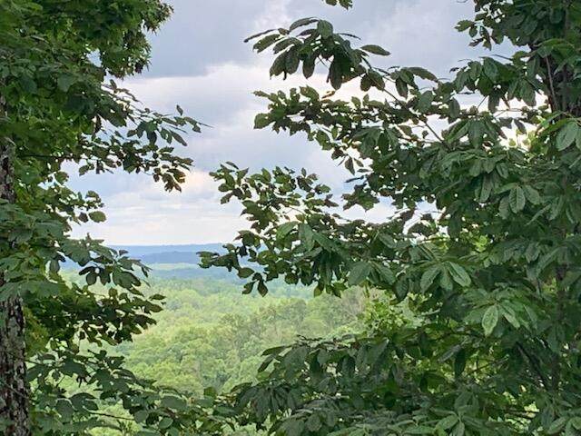 Lot 383 Simmons Rd - Photo 1
