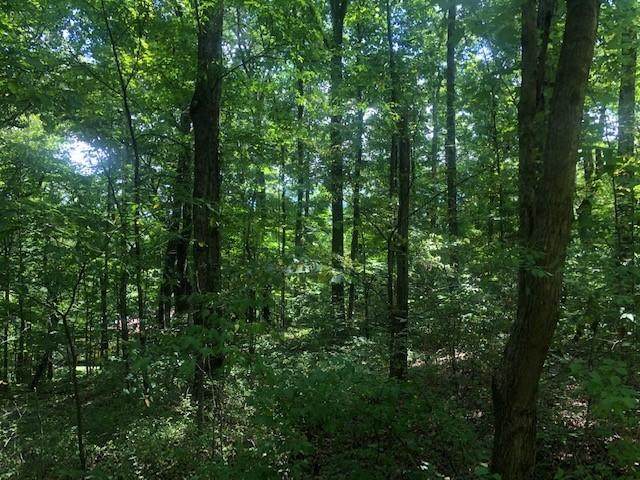 https://bt-photos.global.ssl.fastly.net/chattanooga/orig_boomver_1_1341570-2.jpg