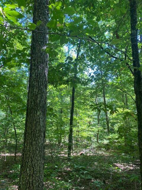 Lot 13 Mountain Lake Drive - Photo 1