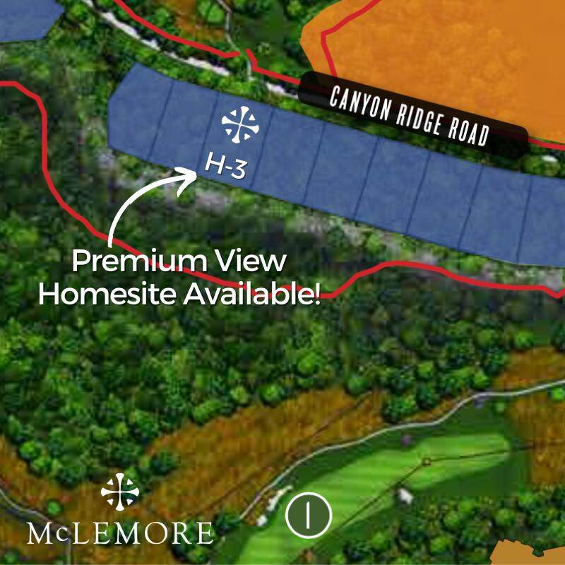 0 Canyon Ridge Rd - Photo 1