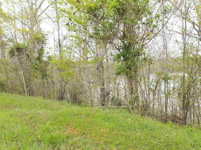 Lot 37 Mill Dr - Photo 1