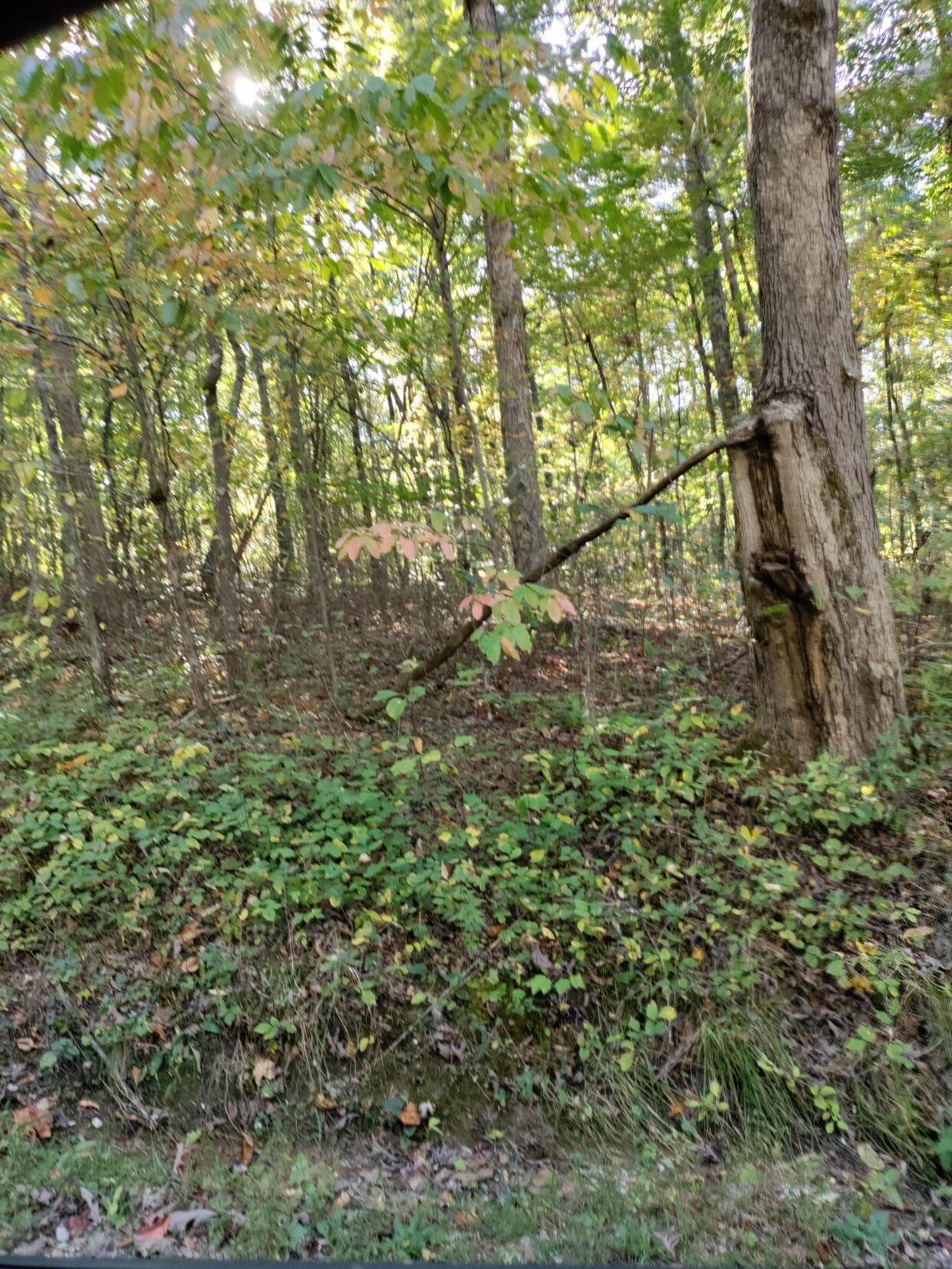 https://bt-photos.global.ssl.fastly.net/chattanooga/1280_boomver_1_1344380-2.jpg