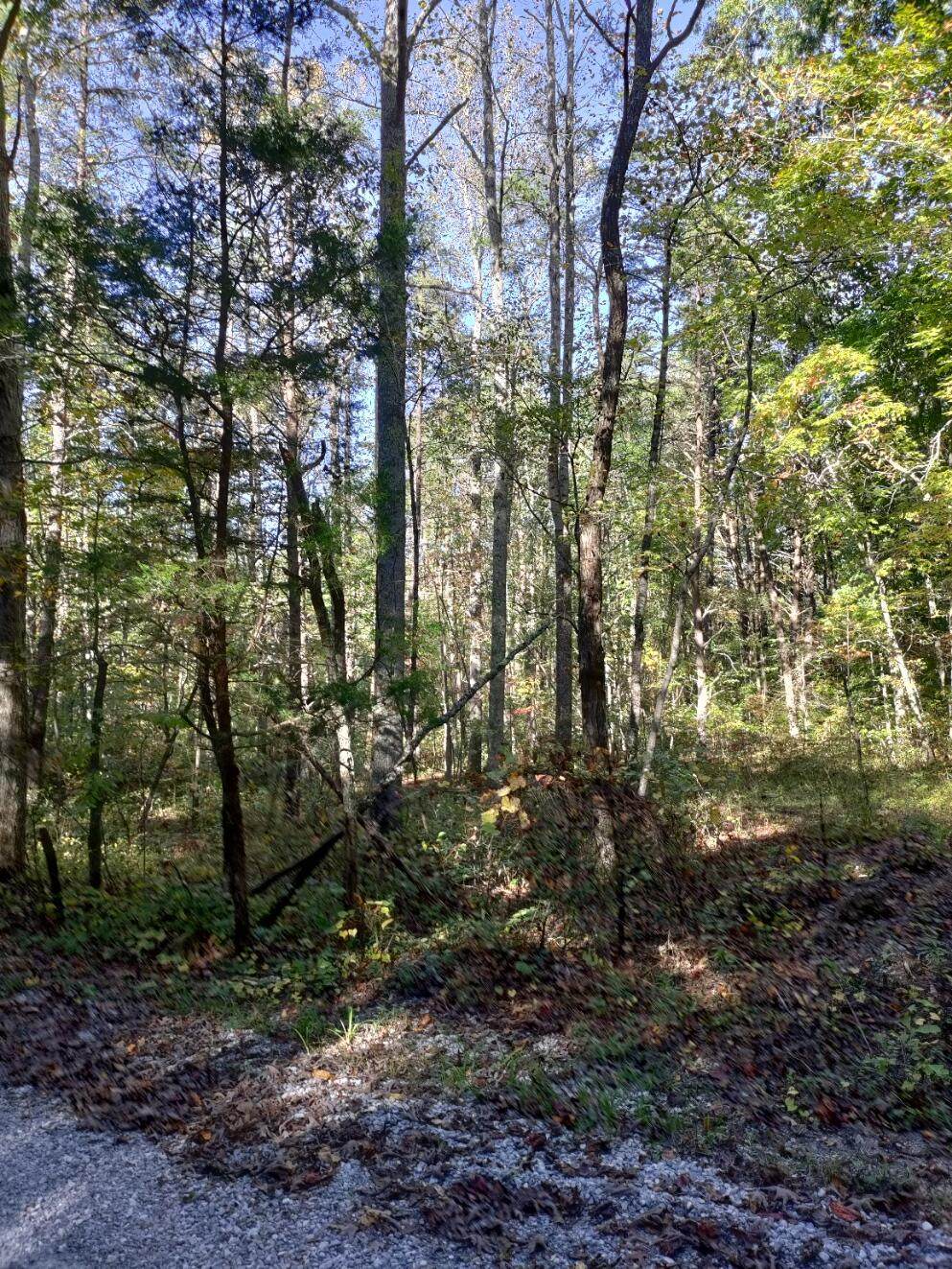 https://bt-photos.global.ssl.fastly.net/chattanooga/1280_boomver_1_1344380-2.jpg