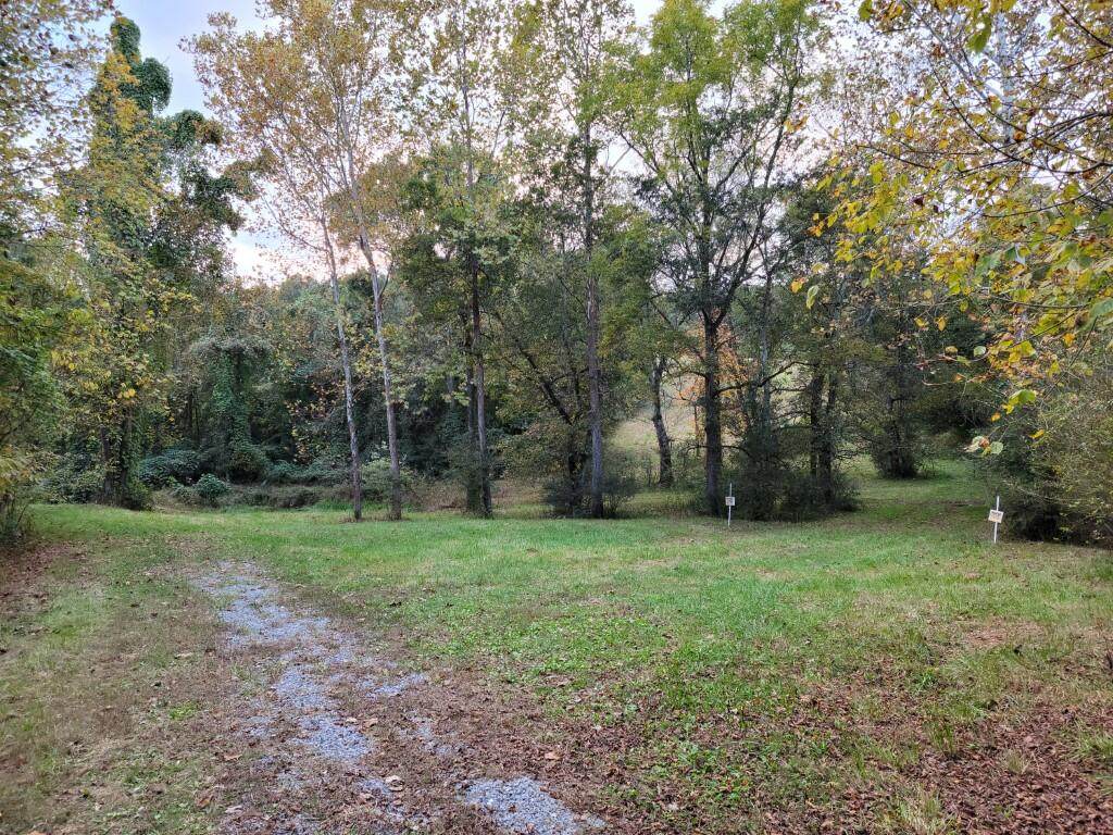 10.5 Acres Dawn Dr - Photo 1