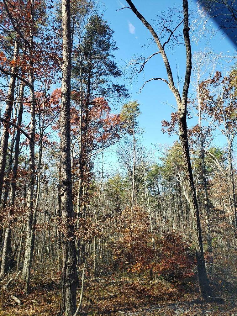 https://bt-photos.global.ssl.fastly.net/chattanooga/orig_boomver_1_1346409-2.jpg