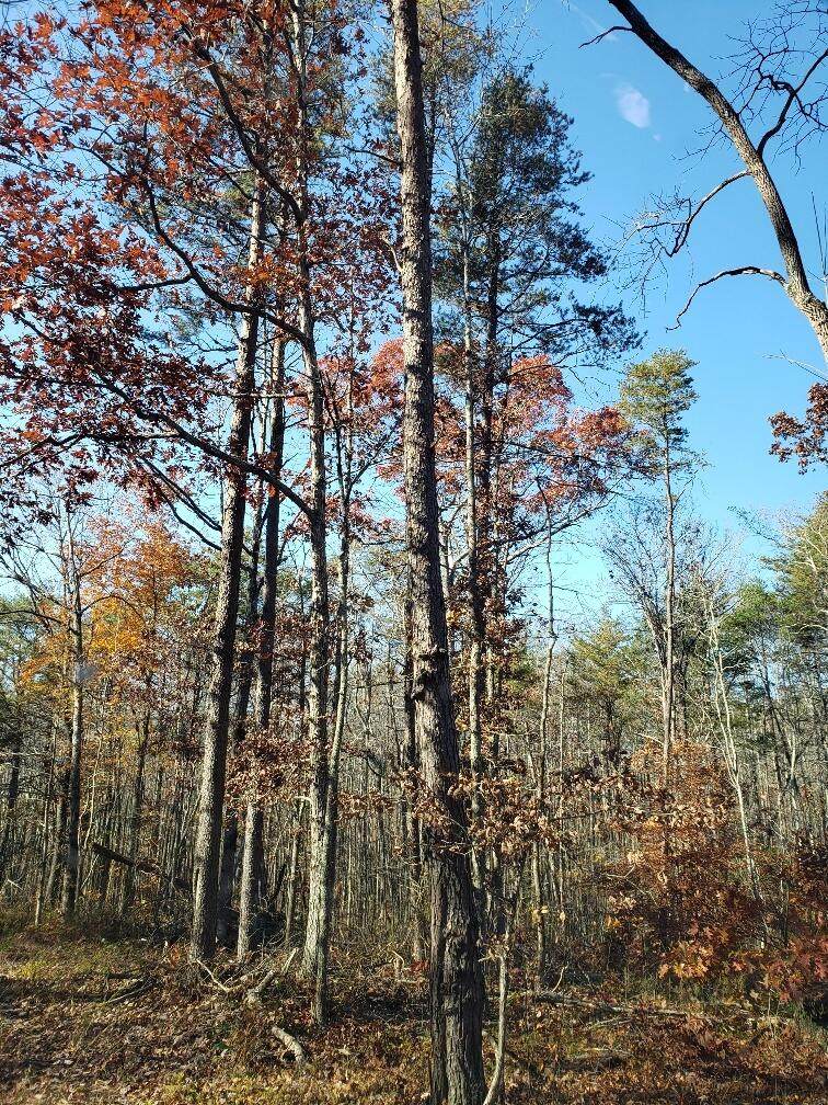 https://bt-photos.global.ssl.fastly.net/chattanooga/orig_boomver_1_1346409-2.jpg