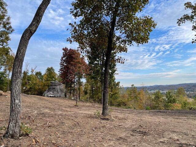 https://bt-photos.global.ssl.fastly.net/chattanooga/orig_boomver_1_1346665-2.jpg
