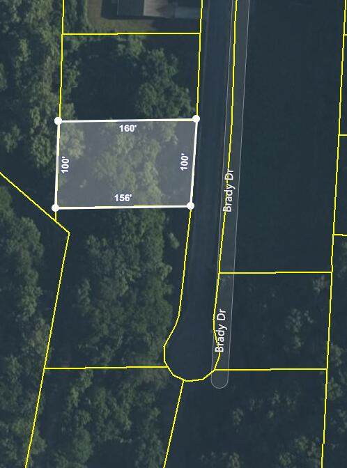 Lot 49 Brady Dr - Photo 1