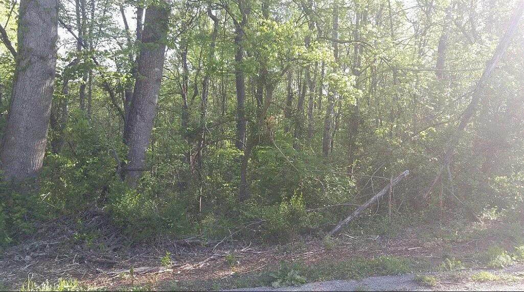 0 Clearview Dr - Photo 1