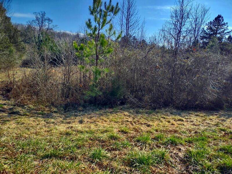 00 Old Graysville Rd - Photo 1