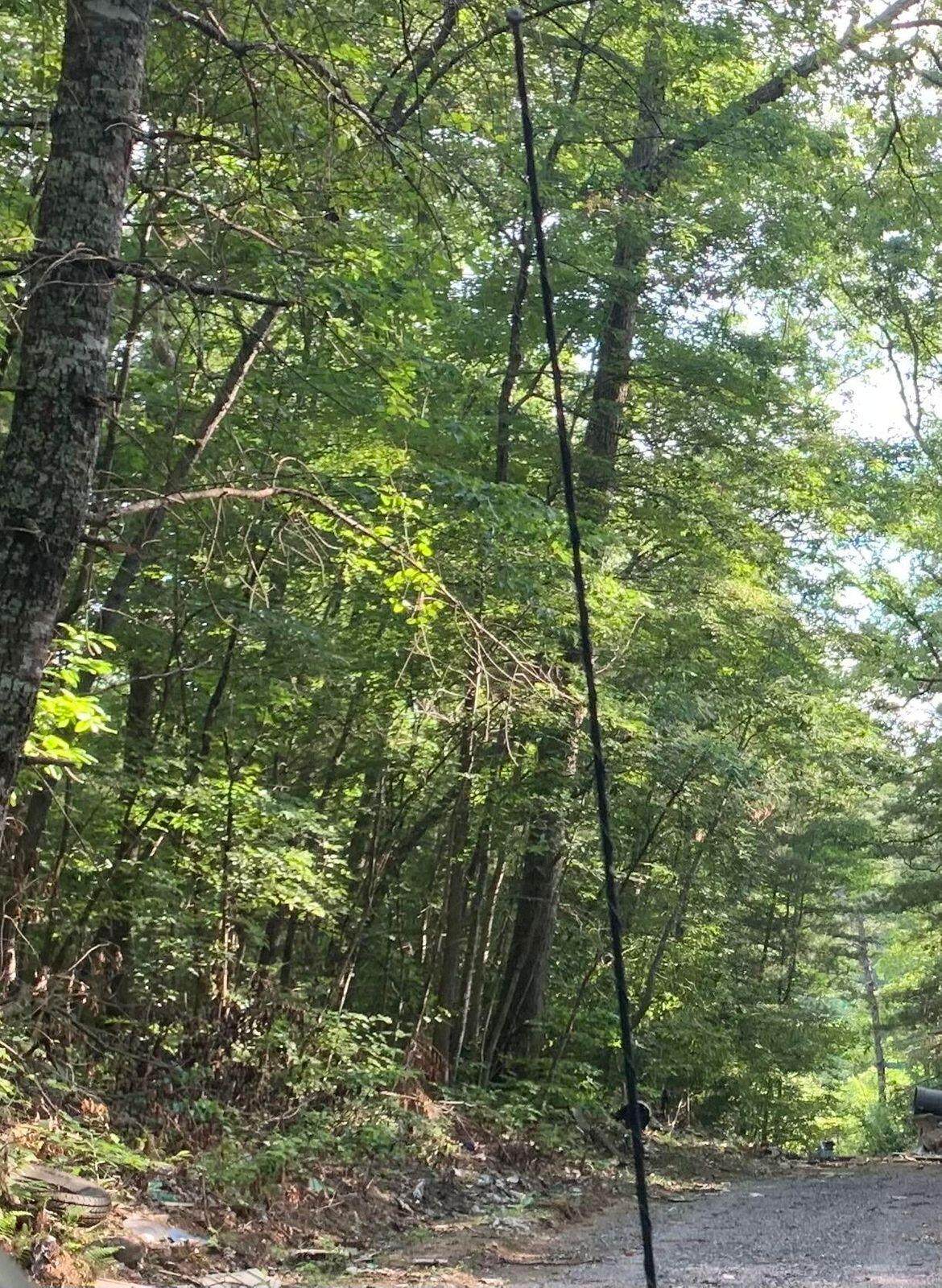 0 Rocky Pt - Photo 1