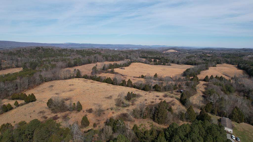 36ac Dividing Ridge Rd - Photo 1