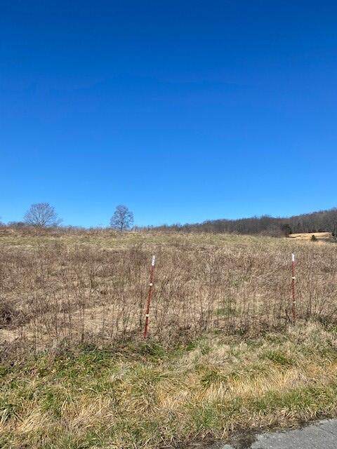 Lot 7 Reeder Town Road - Photo 1