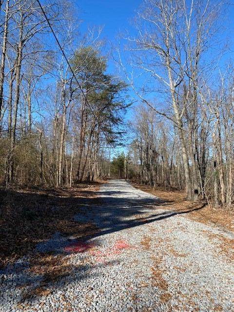 378 Paradise Cave Ln - Photo 1