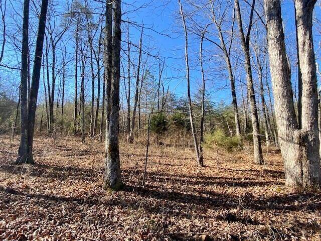 Lot 4 Paradise Cave Ln - Photo 1