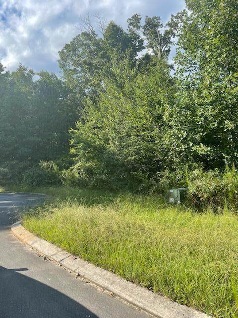 Lot 38 Wexford Pl - Photo 1